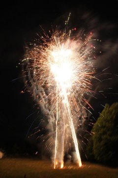 t_IMG_5388.jpg